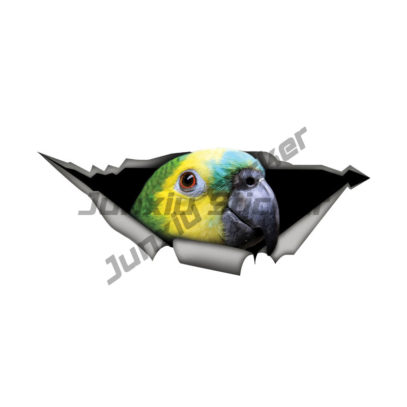 Car Accessories Amazon - Stiker Mobil Burung Beo Amazon Berwajah