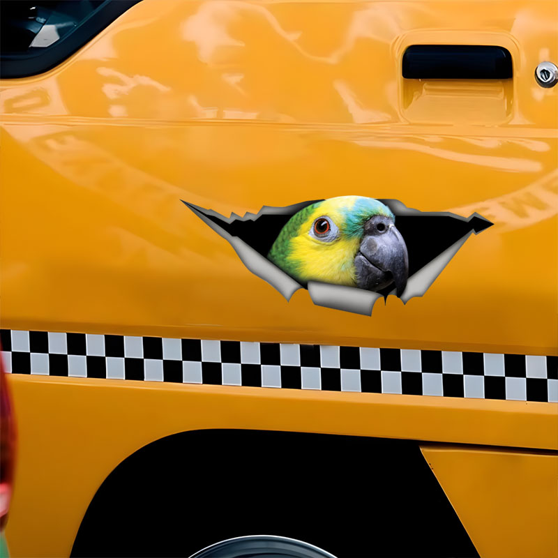 DK582 #   Stiker Mobil Burung  - Car Accessories Amazon ulasan dan harga