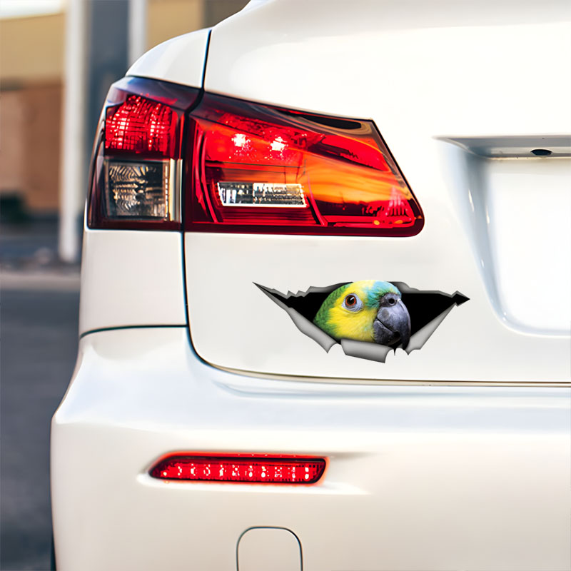 DK582 #   Stiker Mobil Burung  - Car Accessories Amazon ulasan dan harga