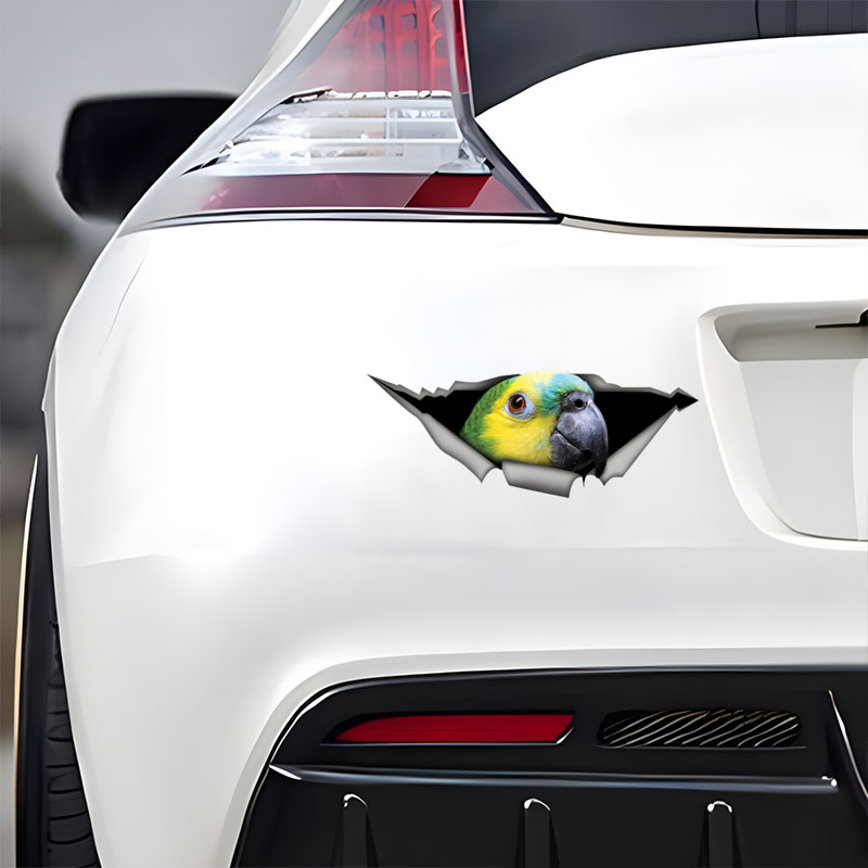 DK582 #   Stiker Mobil Burung  - Car Accessories Amazon ulasan dan harga
