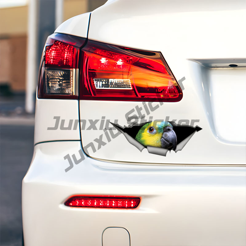 Stiker Mobil Burung Beo Amazon - Car Accessories Amazon ulasan dan harga