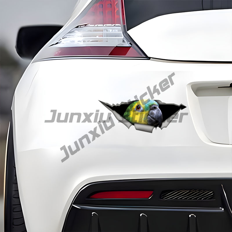 Stiker Mobil Burung Beo Amazon - Car Accessories Amazon ulasan dan harga